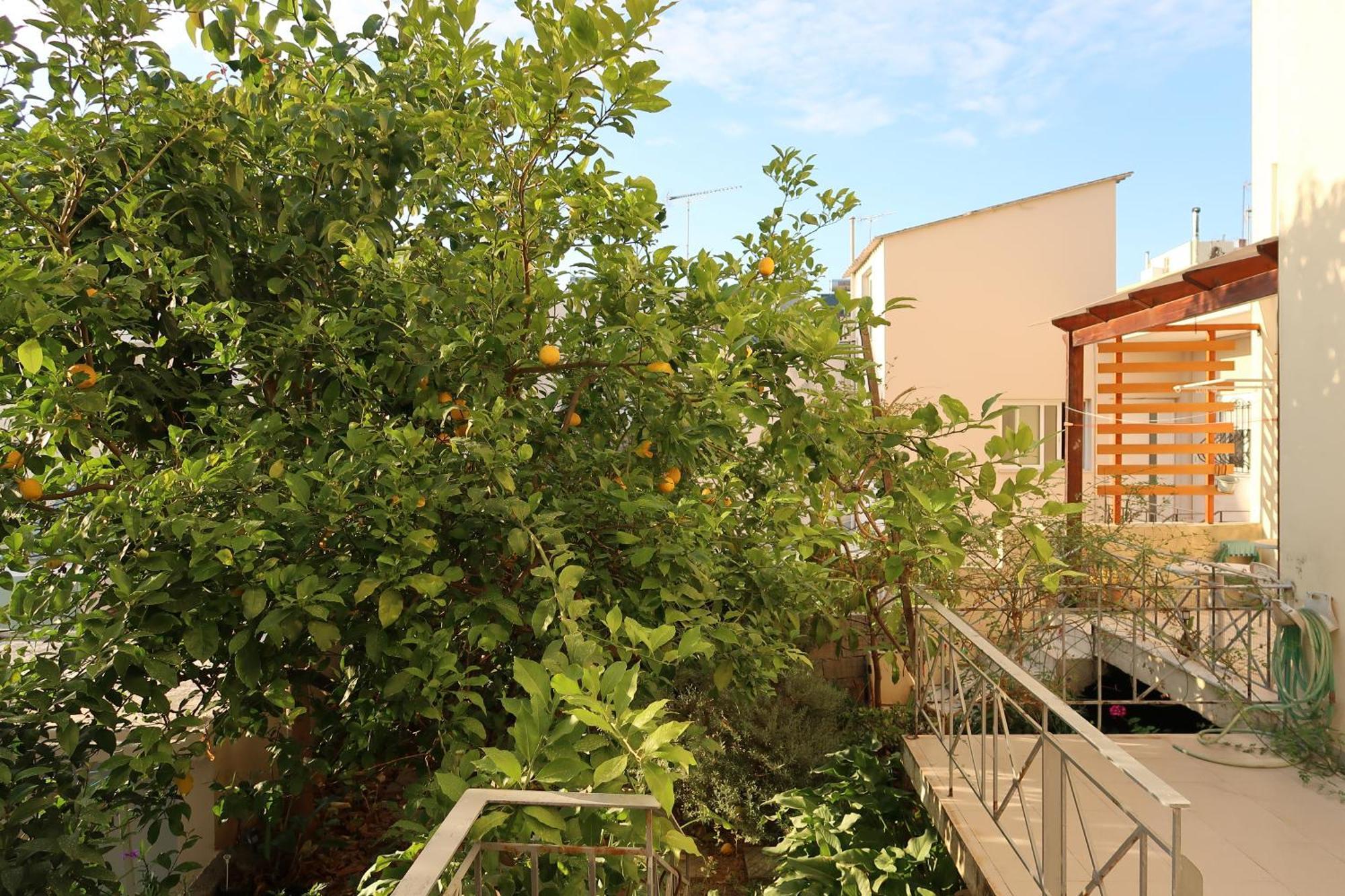 Villa Sunbeam Retreat La Canea Exterior foto