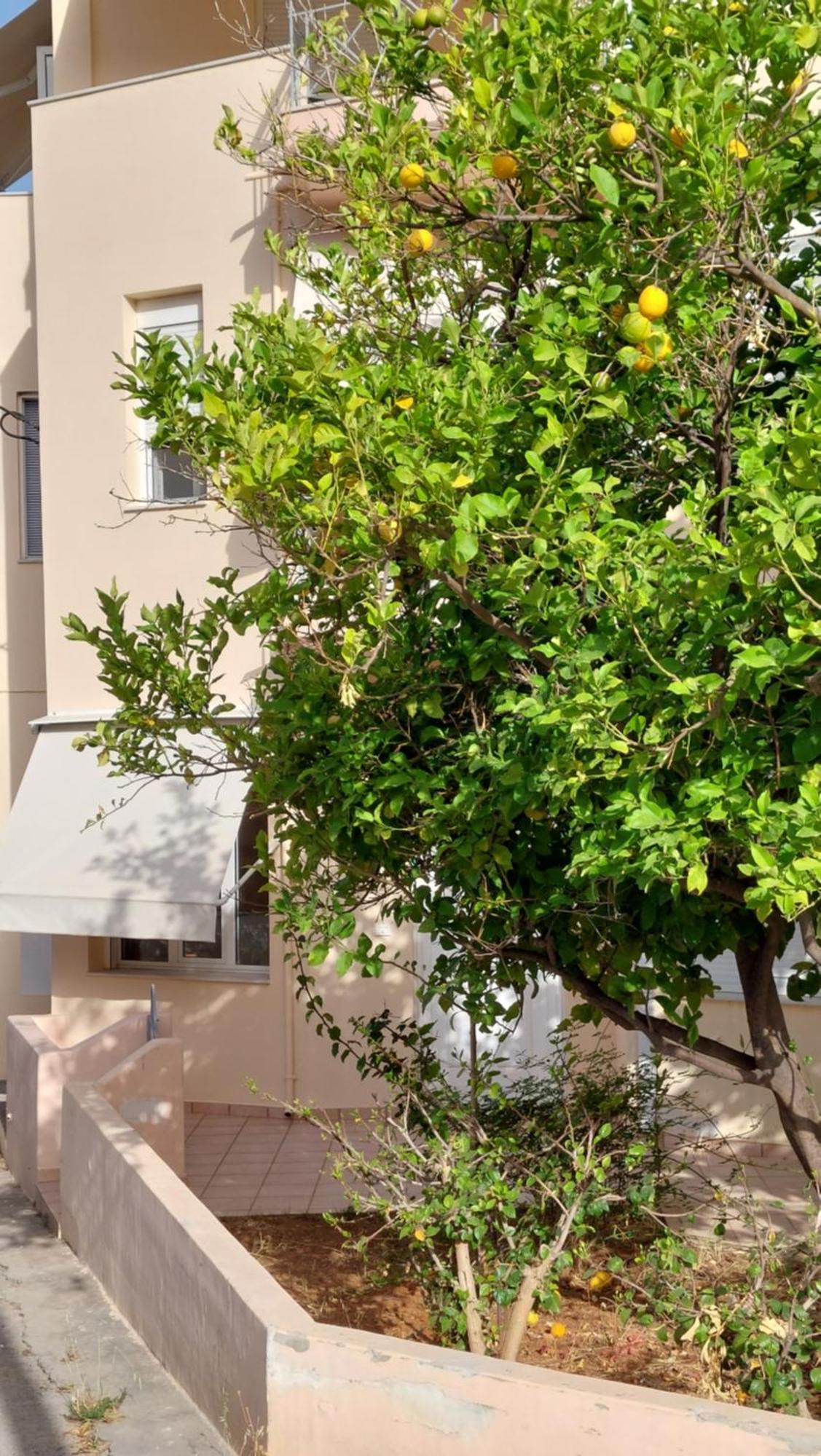 Villa Sunbeam Retreat La Canea Exterior foto